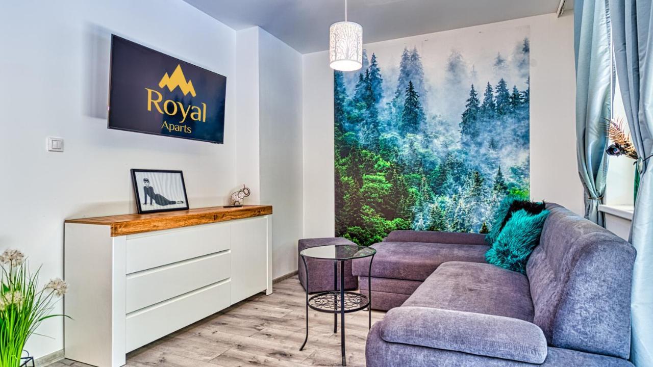 Apartamenty Centrum - Wyszynskiego 9 By Royal Aparts Świeradów-Zdrój 外观 照片